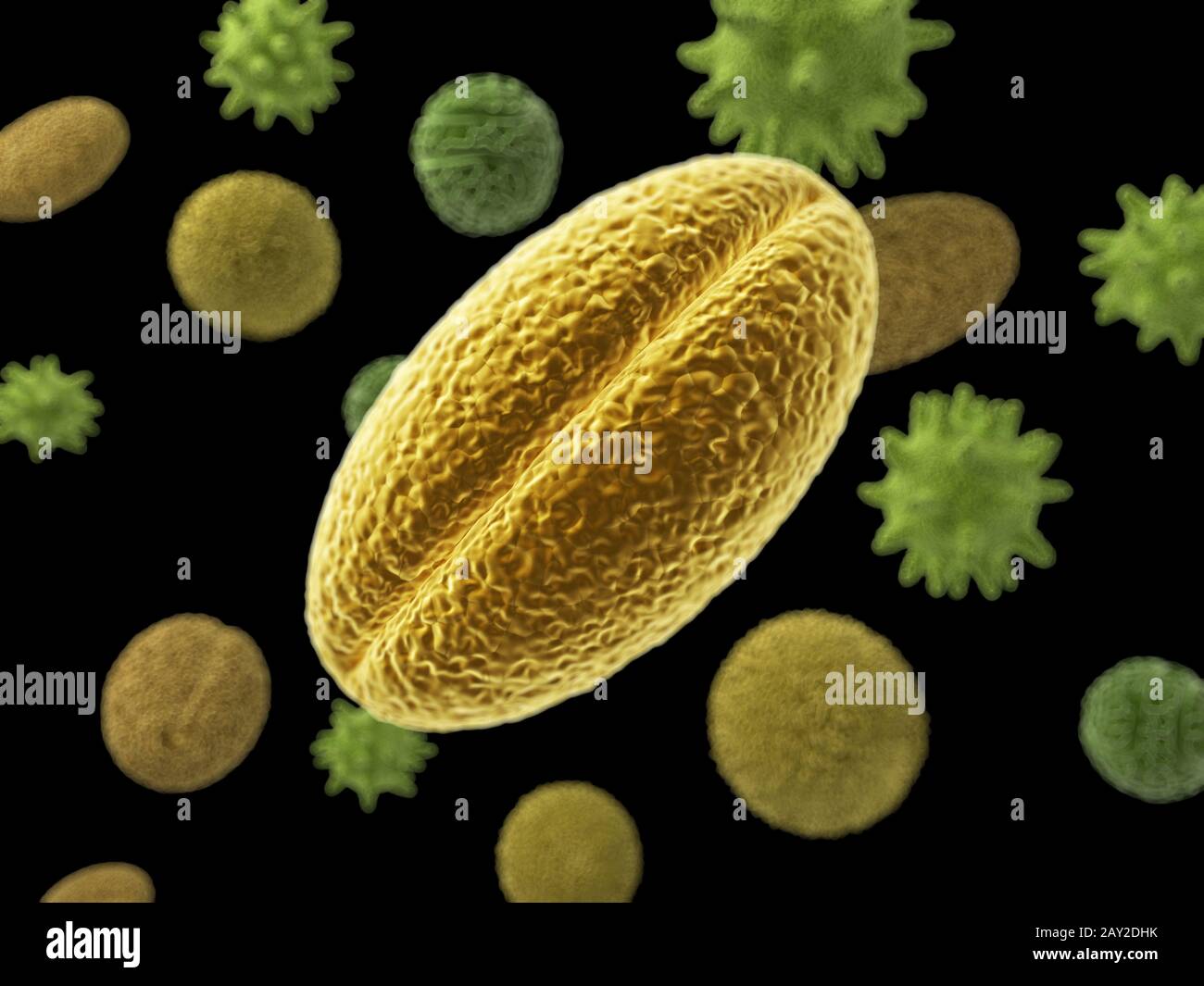 3d rendered illustration of pollen particles Stock Photo - Alamy