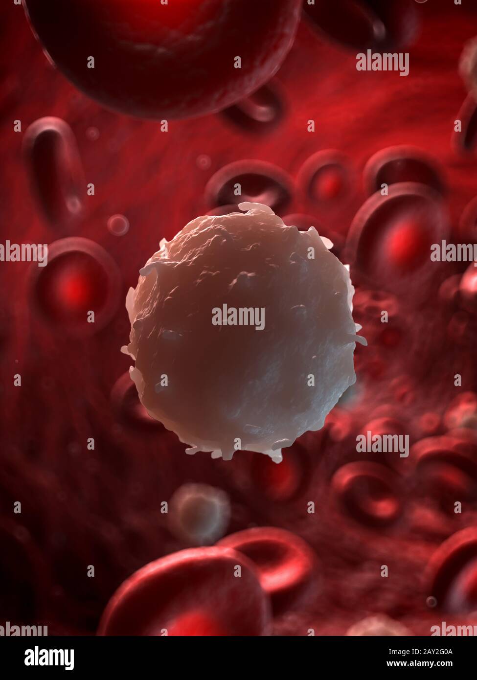 3d rendered illustration of a white blood cell Stock Photo