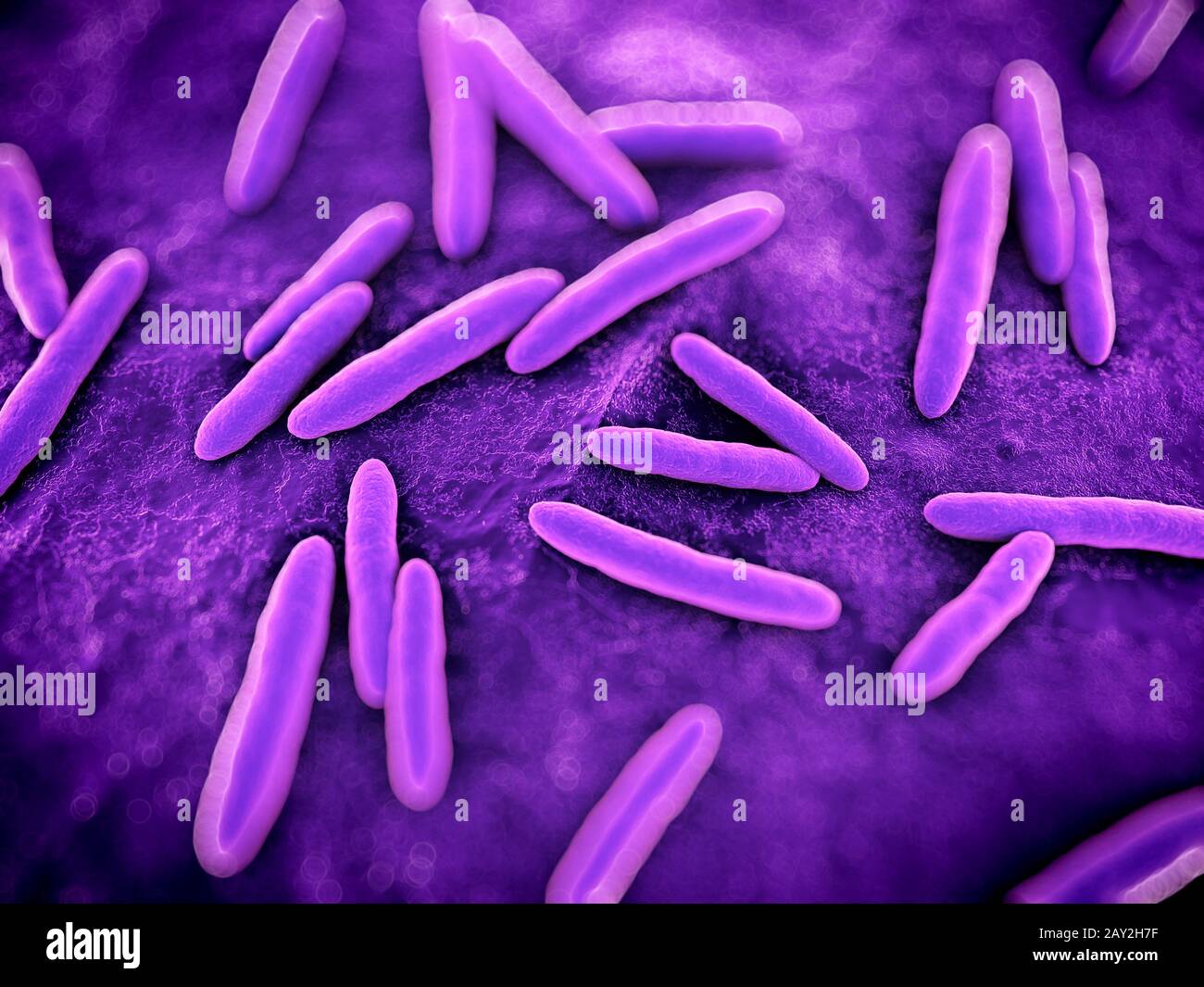 3d rendered scientific illustration of some bacteria Stock Photo