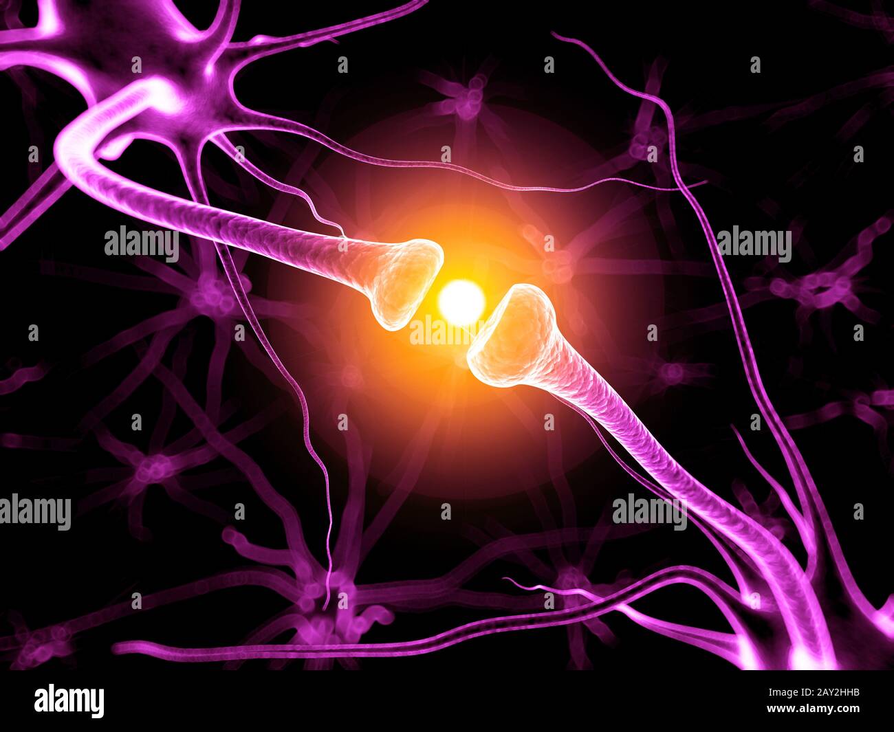 Neurone High Resolution Stock Photography And Images Alamy Neurone High Resolution Stock Photography And Images Alamy