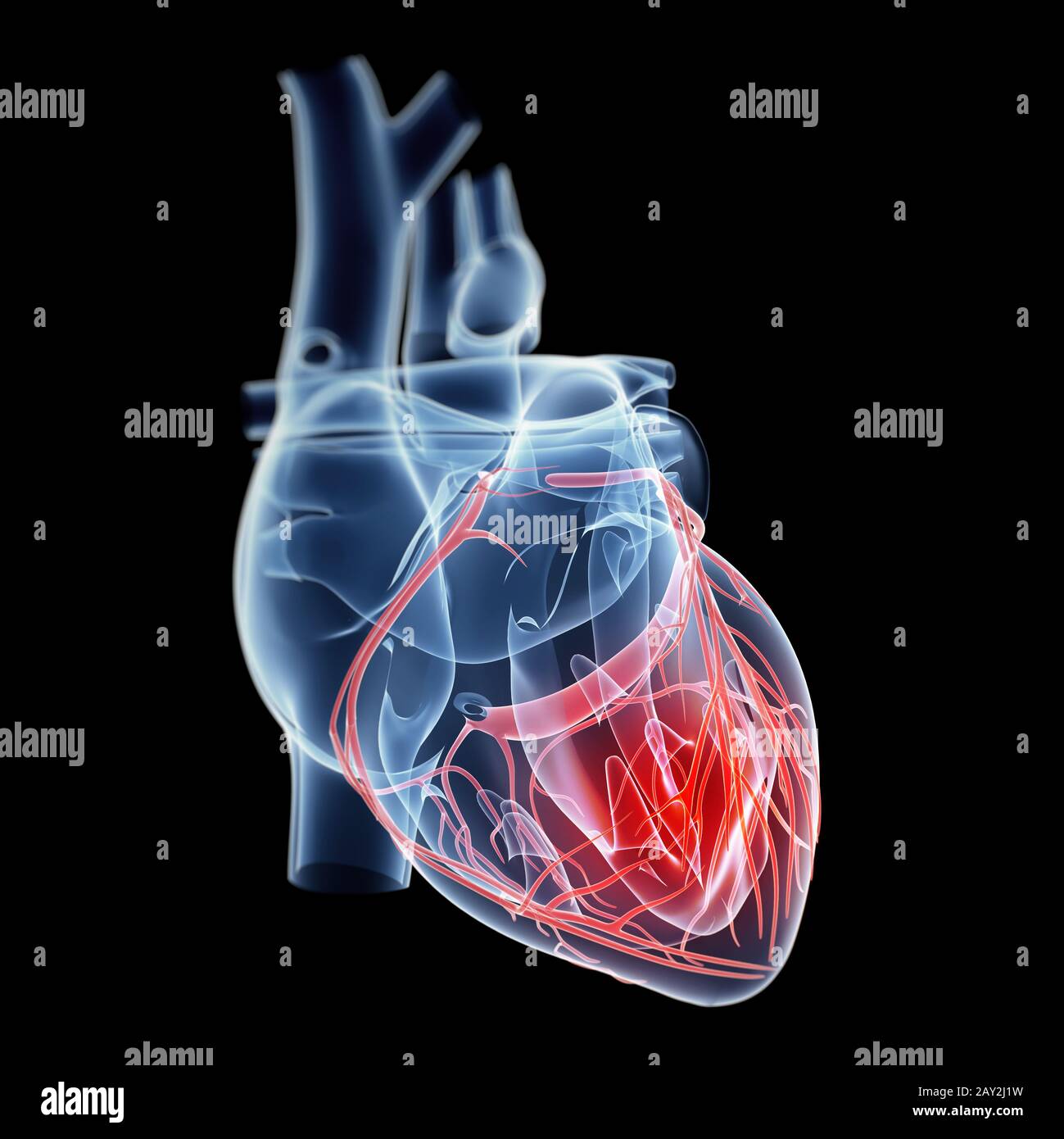 illustration showing pain in the heart Stock Photo