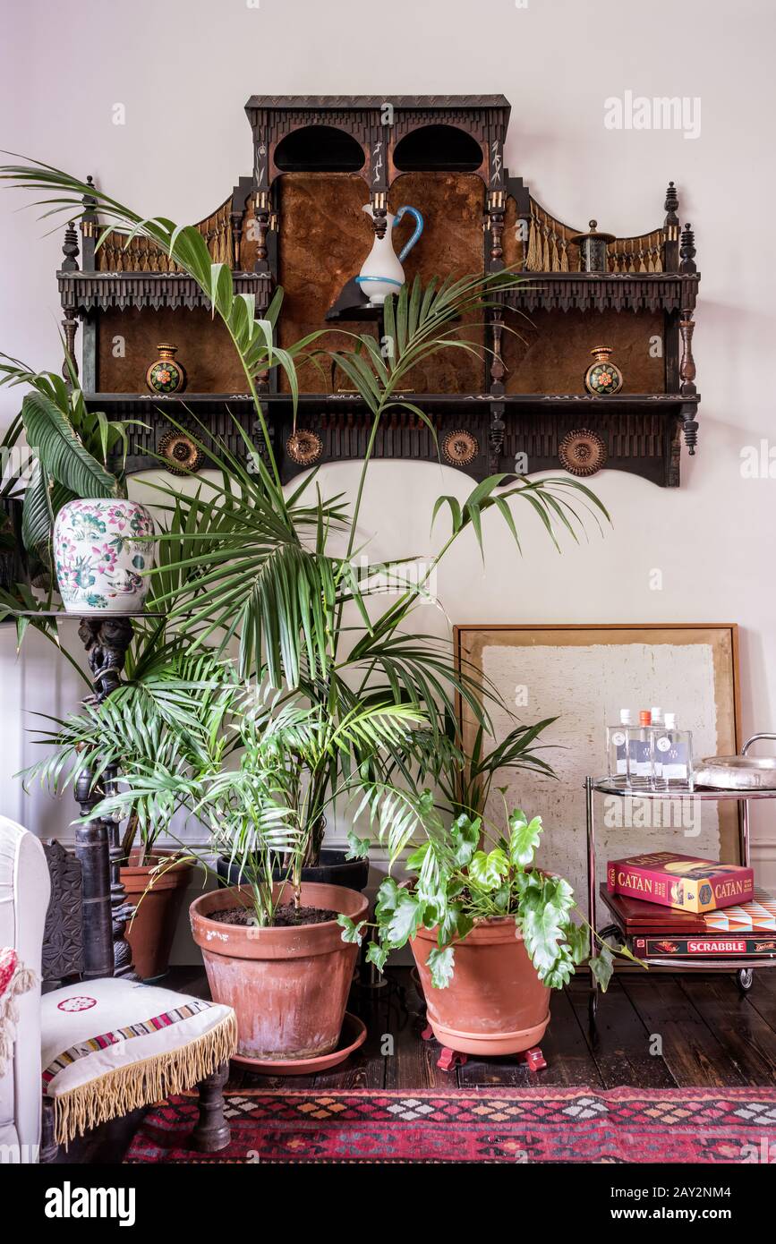 Potted plants under shelving Stock Photo Alamy