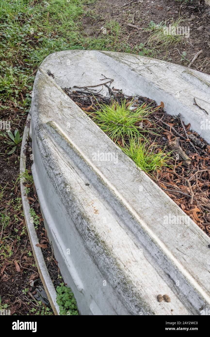 Long-forgotten upturned small boat hull beached on the side of a river. Perhaps an overwintered boat. Stock Photo