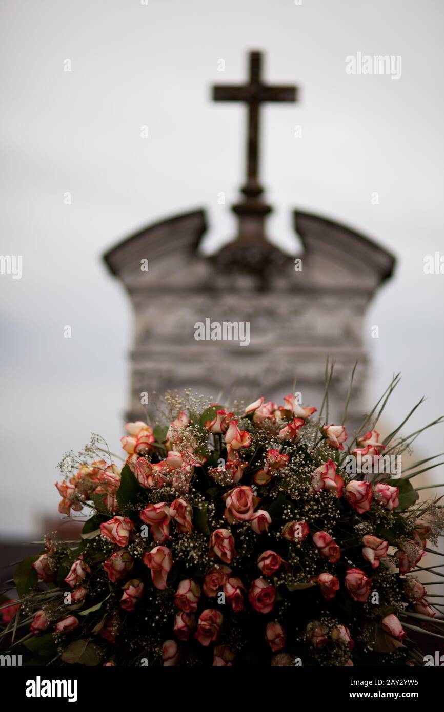 Roses on an old grave Stock Photo - Alamy