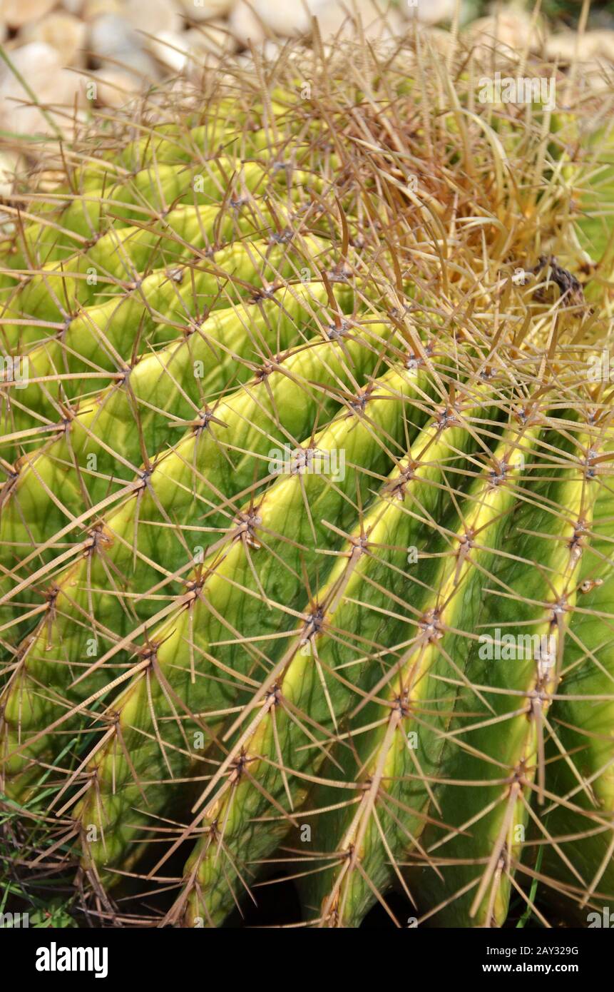 Plant needs hires stock photography and images Alamy