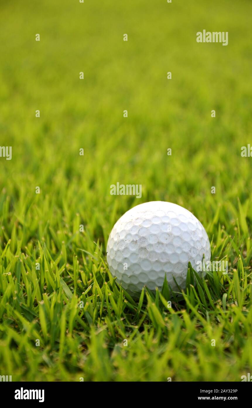 Dirty golf ball on the grass Stock Photo Alamy