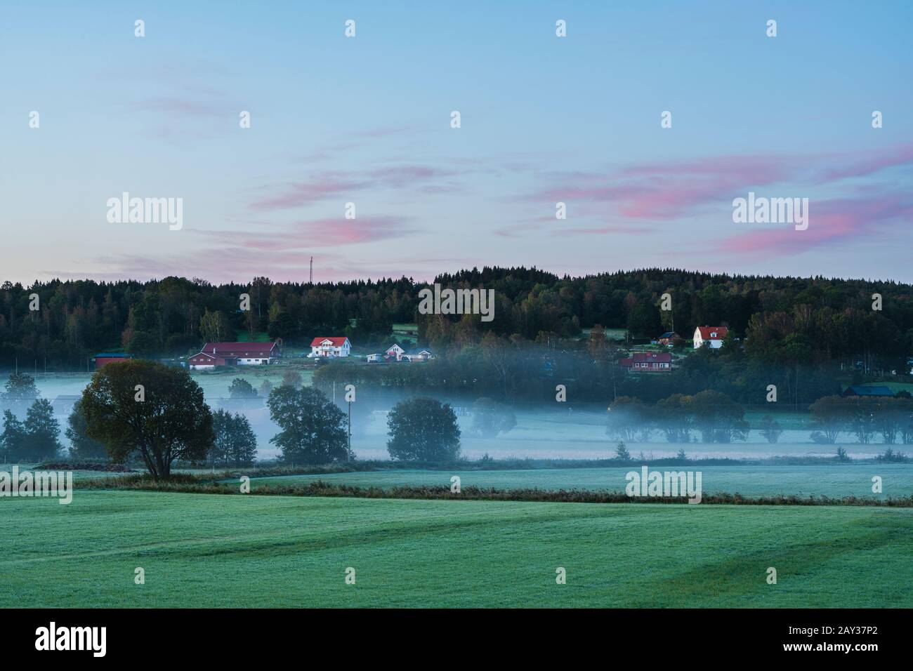 Fog landscape tree hi-res stock photography and images - Alamy