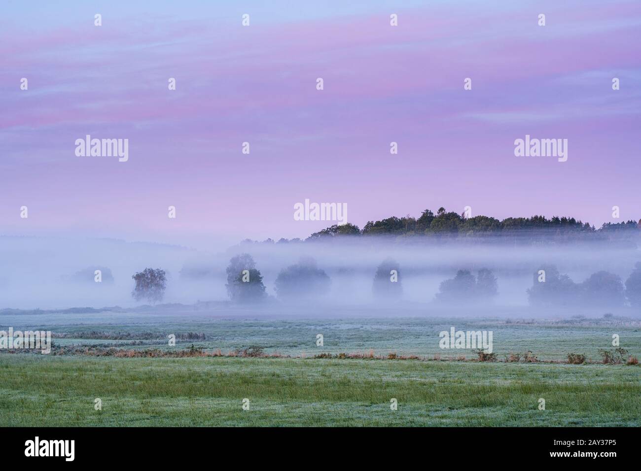 Rural light and fog hi-res stock photography and images - Alamy