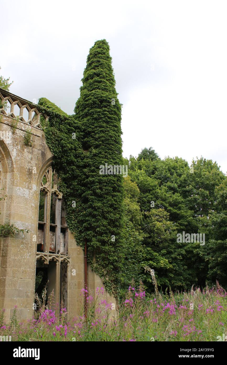 Turret overgrown with ivy on the exterior of the abandoned gothic mansion Crawford Priory Stock Photo