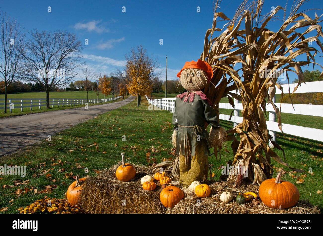 Thanksgiving holiday decoration on the farm Stock Photo