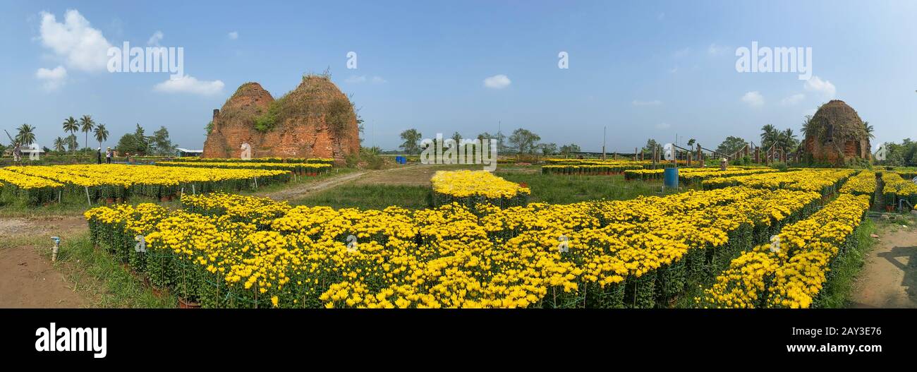 Ancient brickyard with Marigold flower field at spring in Mekong Delta, Vietnam. Stock Photo