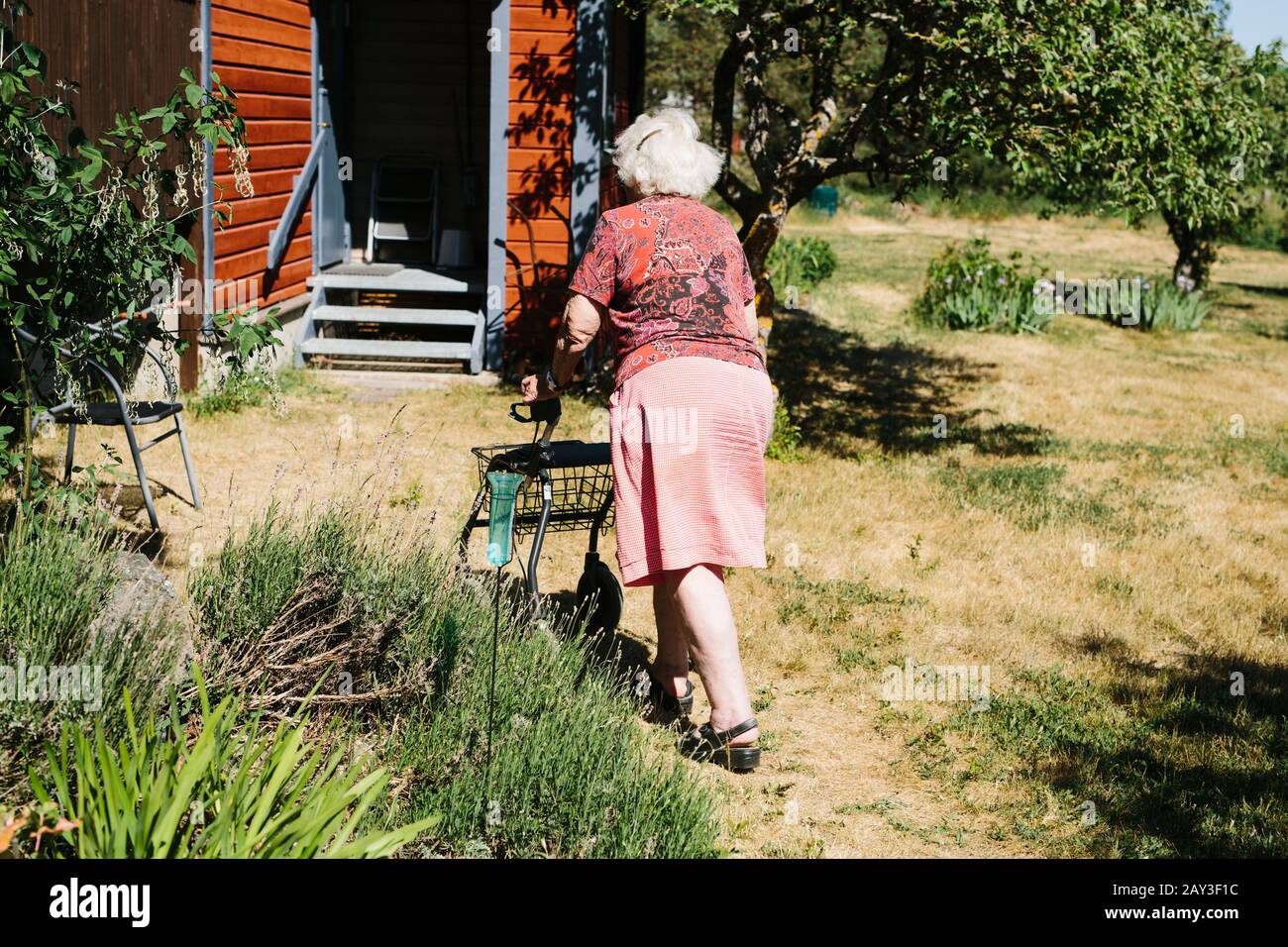 Old woman walking frame hi-res stock photography and images - Alamy