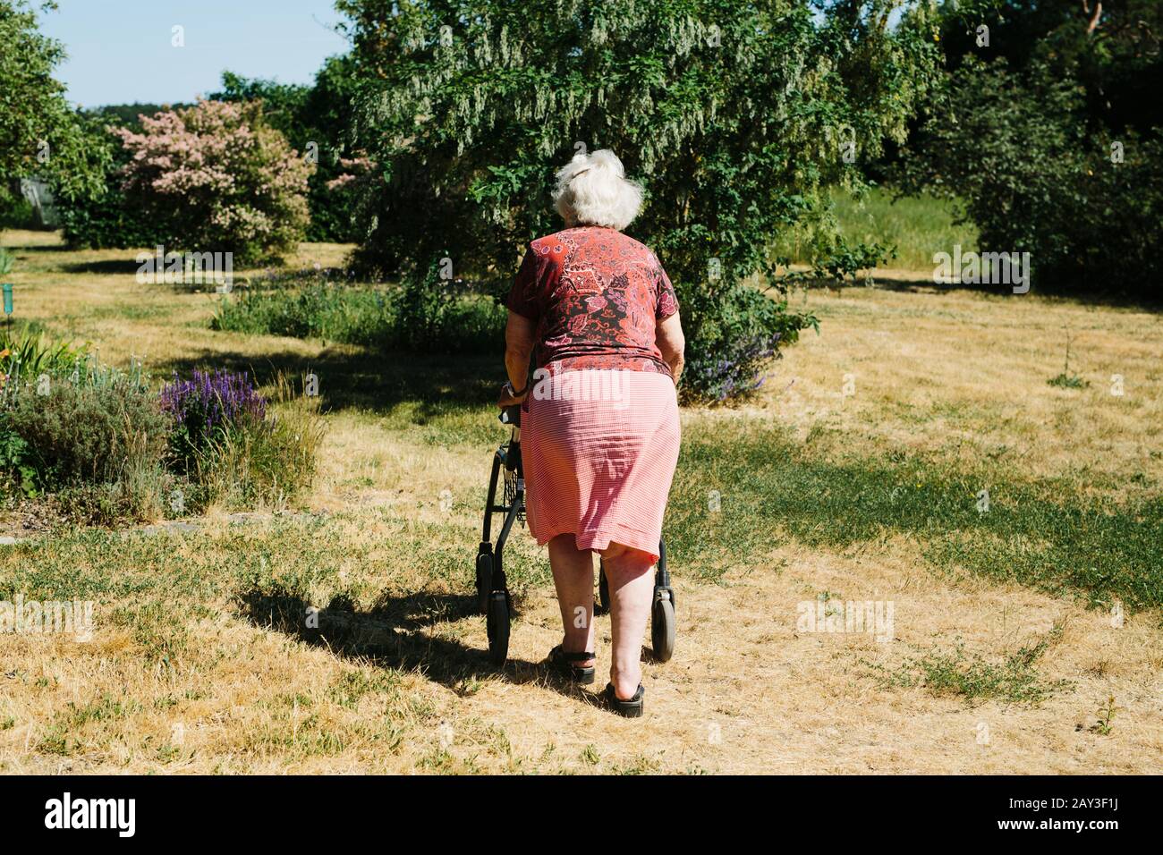 Old woman walking frame hi-res stock photography and images - Alamy