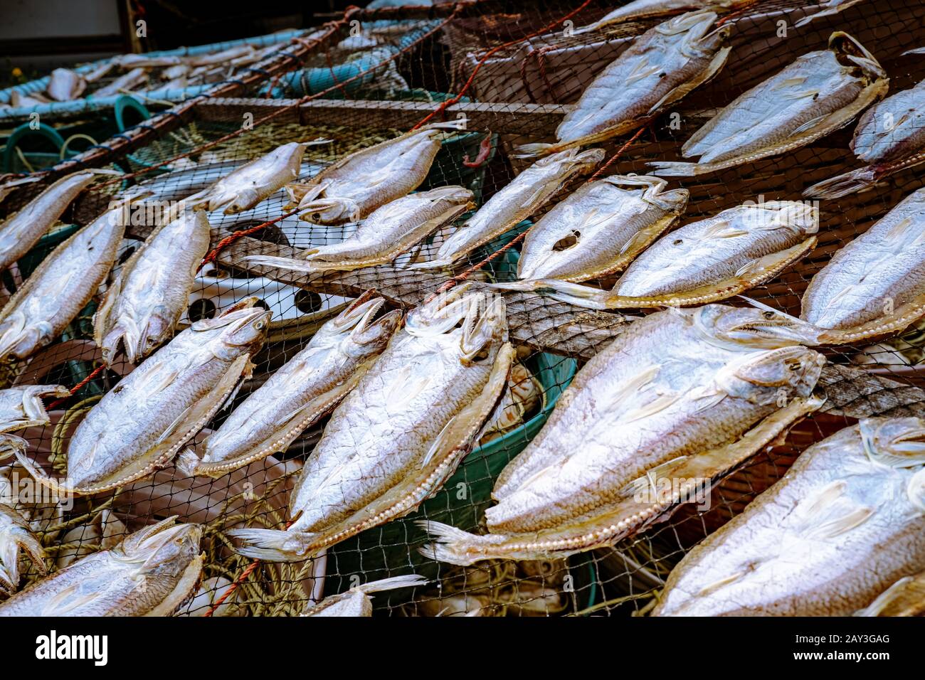 Thailand Dried Fish High Resolution Stock Photography and Images Alamy