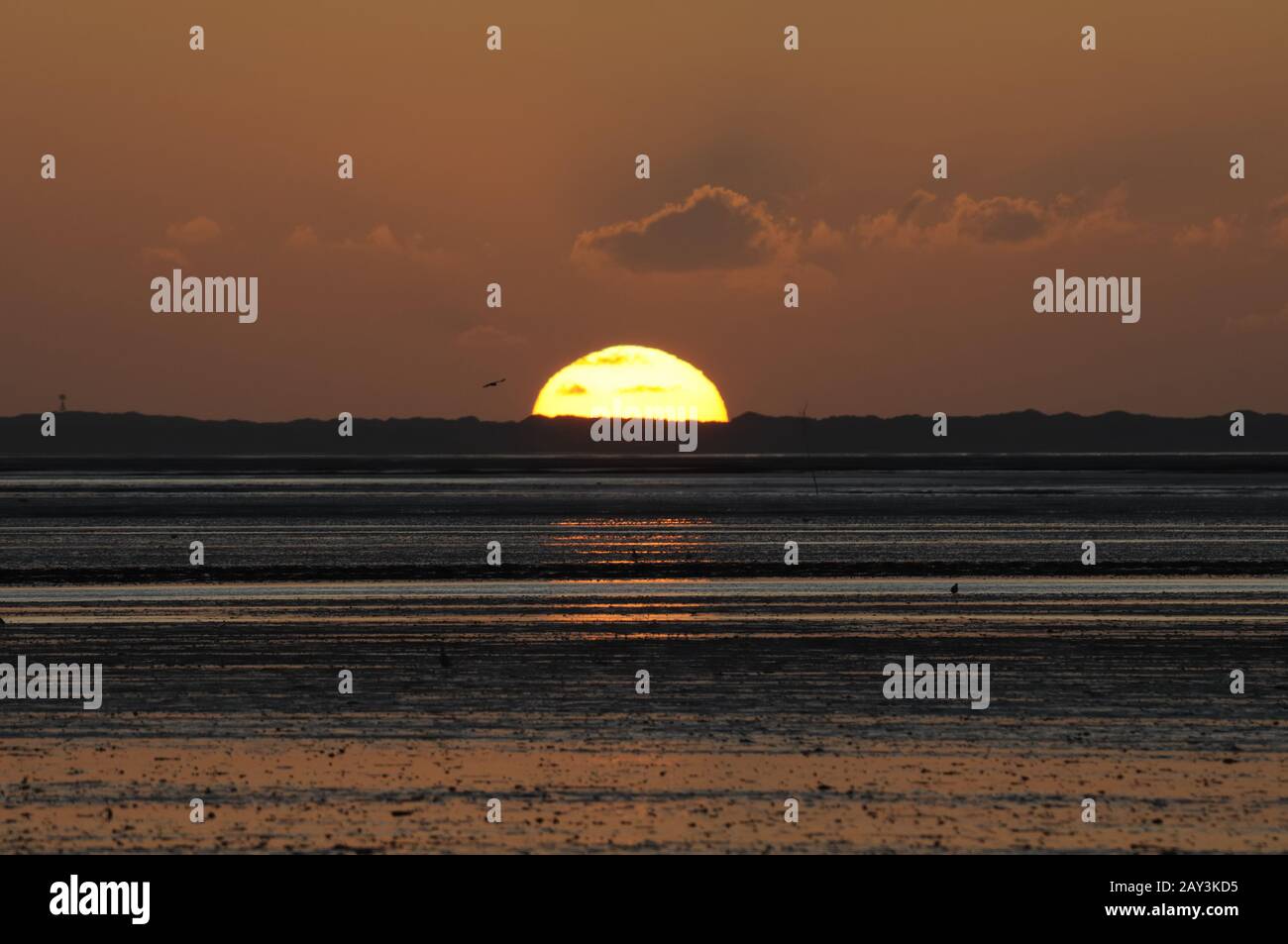 Sunset at the North Sea Stock Photo - Alamy