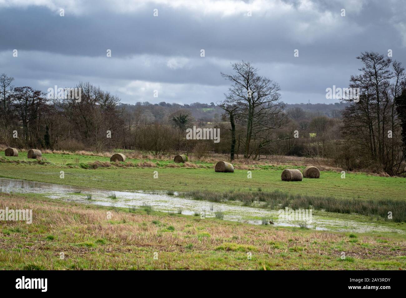 Flooded field in Wealden, East Sussex, England Stock Photo
