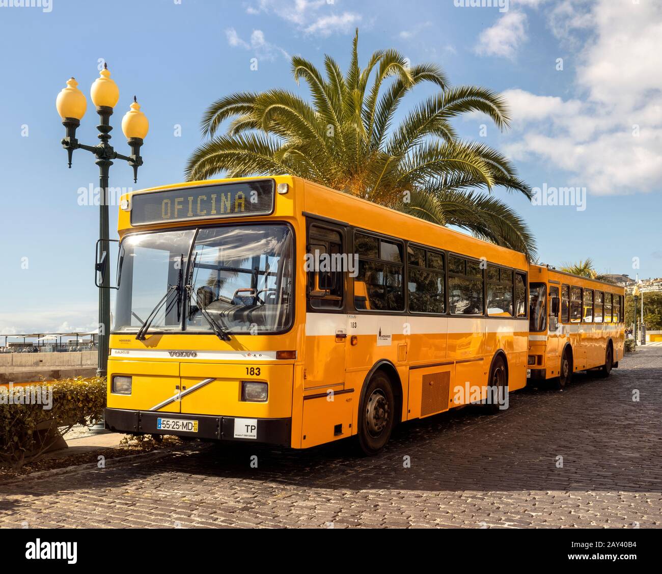 Buses in Funchal, Madeira. Stock Photo