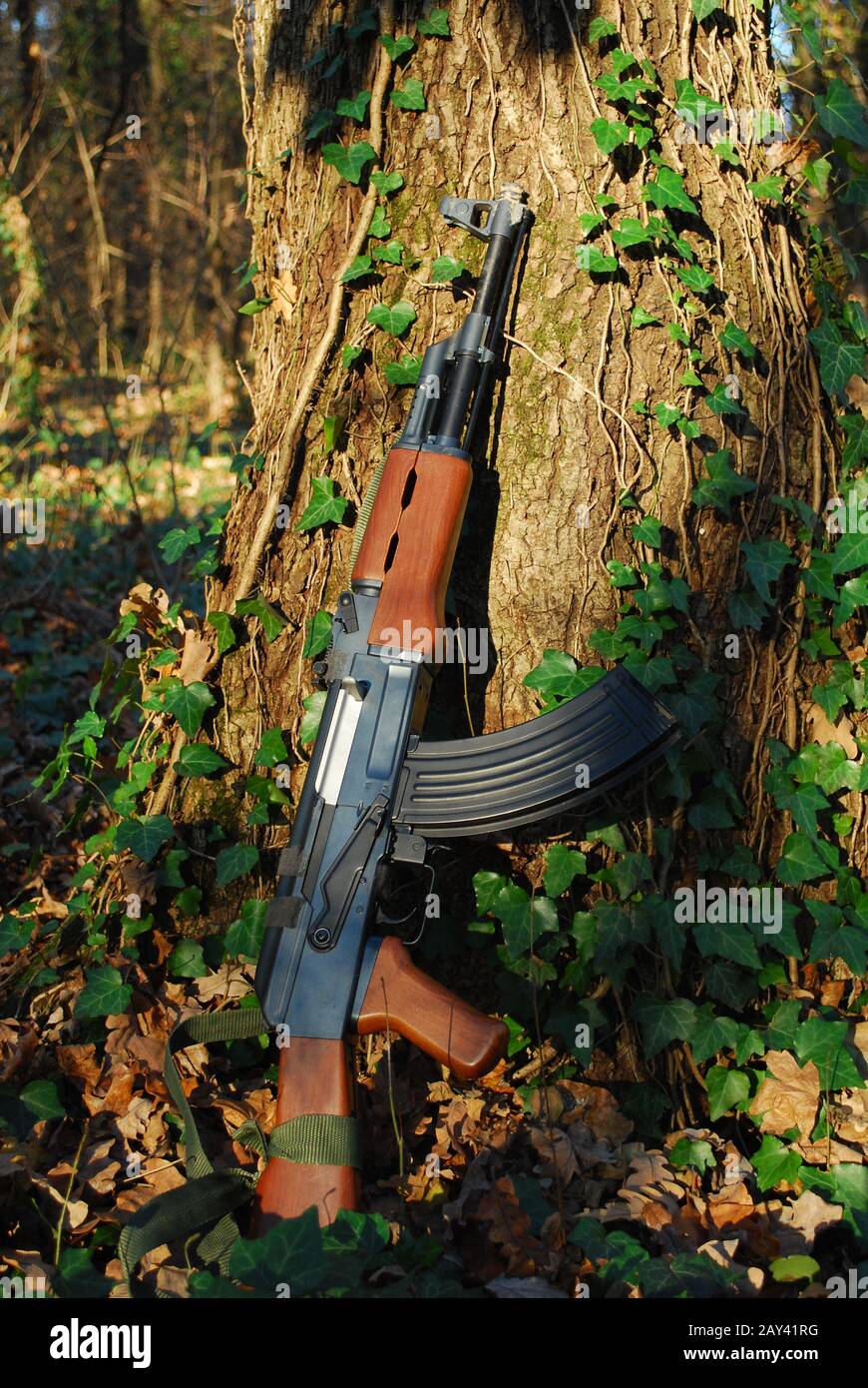 kalashnikov Stock Photo