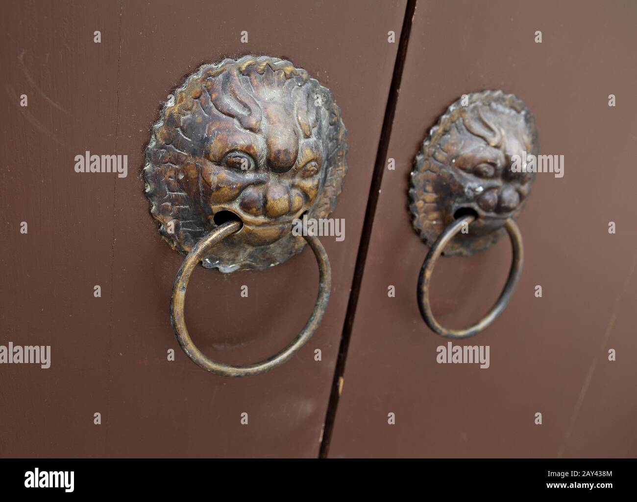 lion door lock Stock Photo Alamy