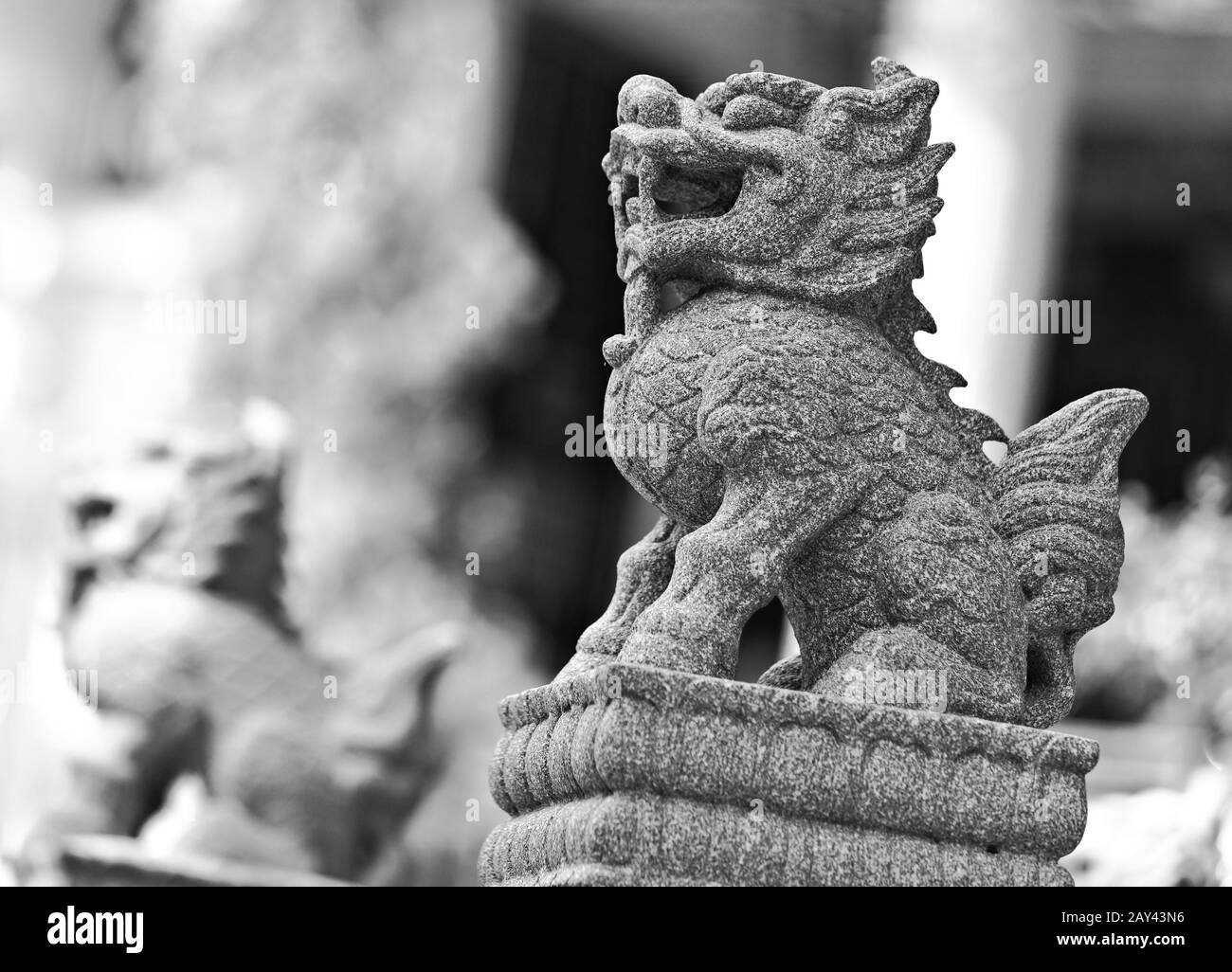 Chinese lion statue Stock Photo