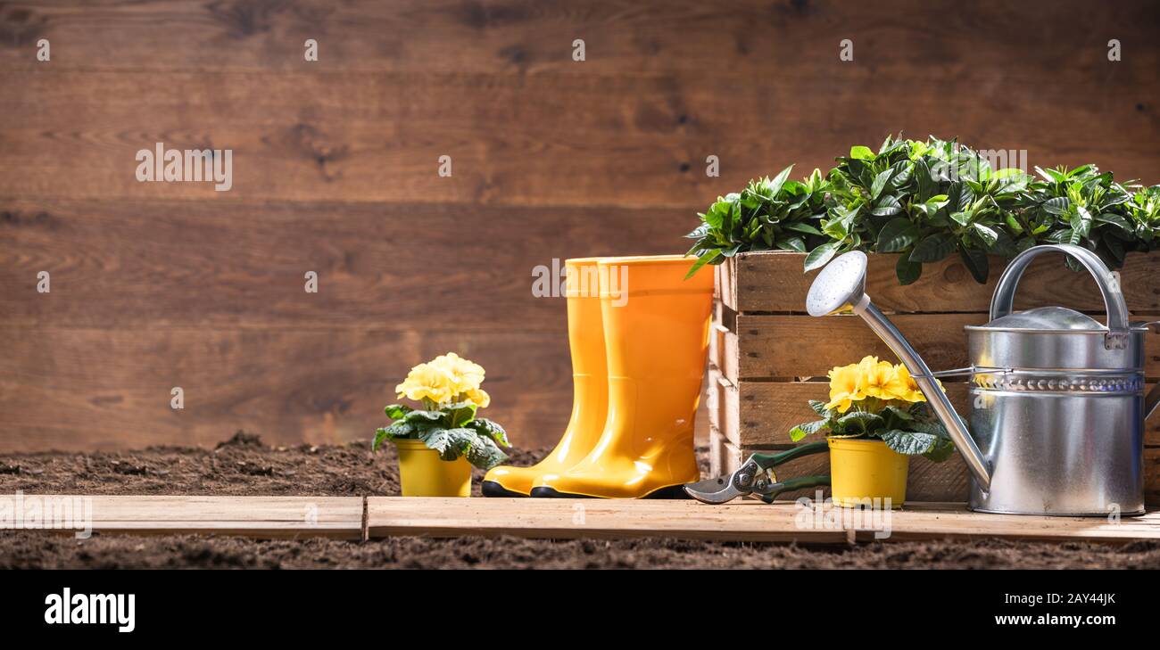 Gardening Tools And Flowers Ready To Be Planted Stock Photo