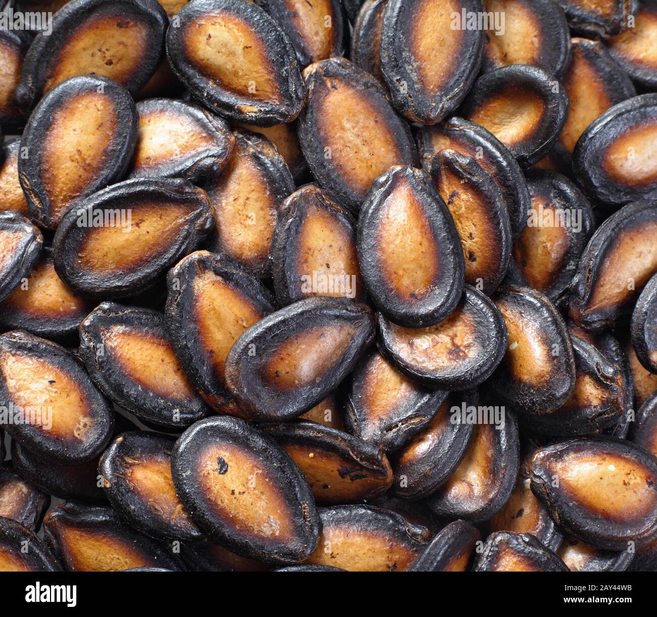 chinese new year seed