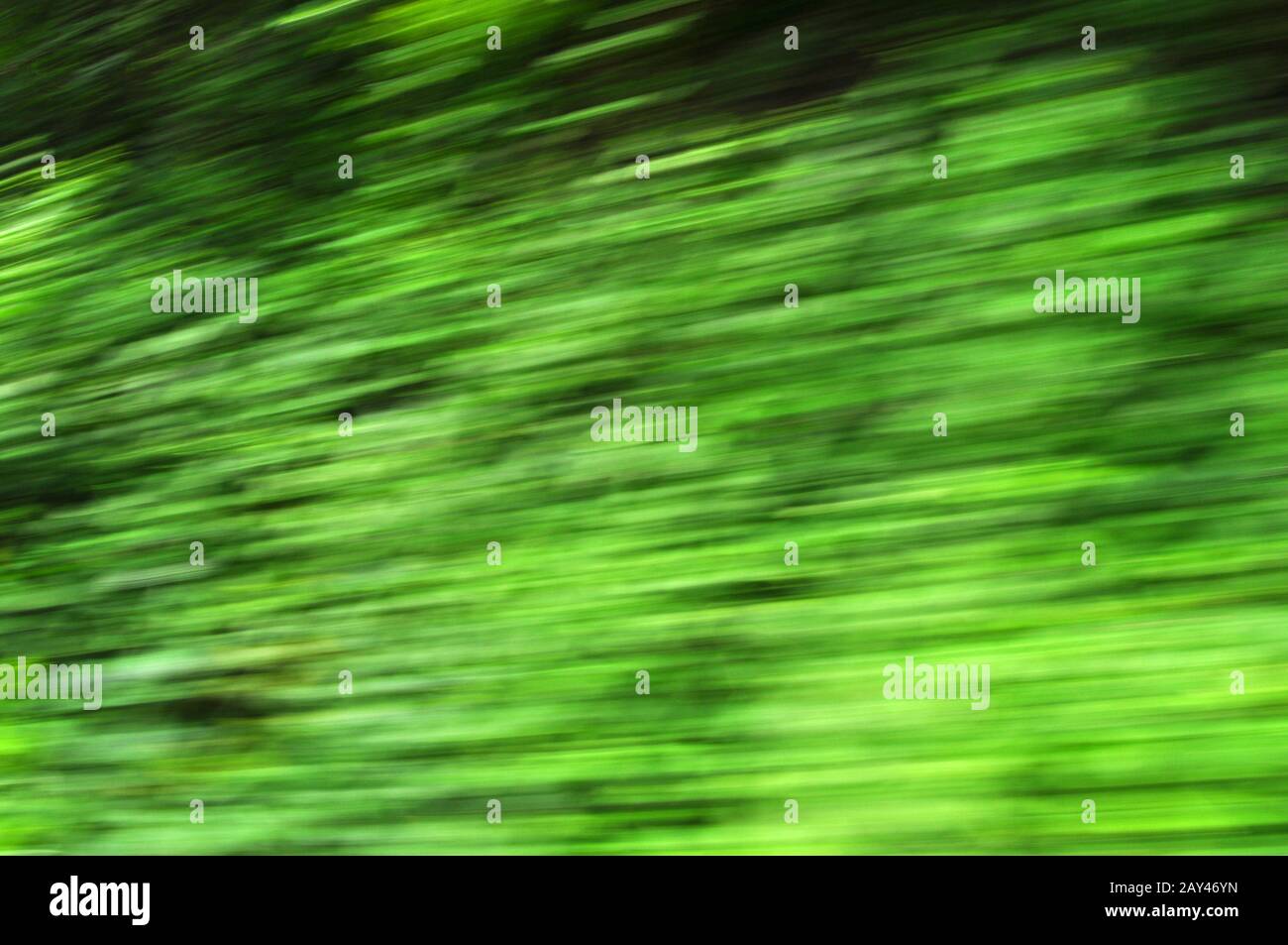 speed nature Stock Photo