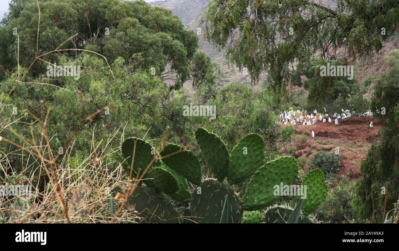 Ethiopian Christian pilgrims in white wraps seen from a distance between trees and foliage Stock Photo