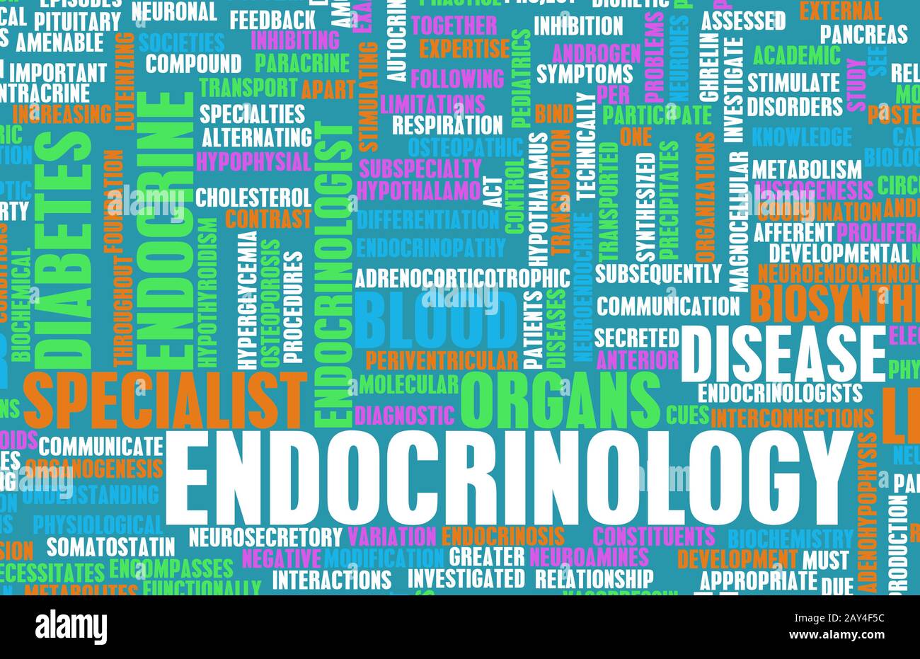 Endocrinology Stock Photo