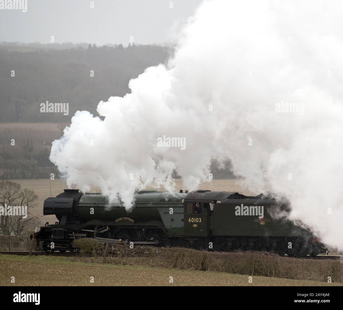 The Flying Scotsman makes it's way along the Mid Hants Railway's Watercress line near to Ropley in Hampshire, after helping the official re-opening of the line. Stock Photo