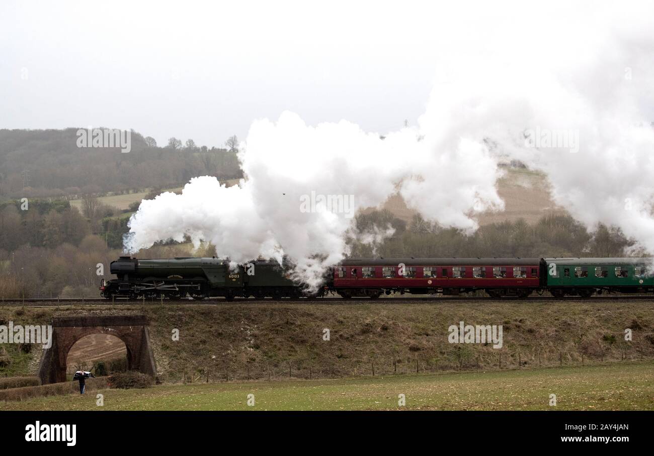 The Flying Scotsman makes it's way along the Mid Hants Railway's Watercress line near to Ropley in Hampshire, after helping the official re-opening of the line. Stock Photo