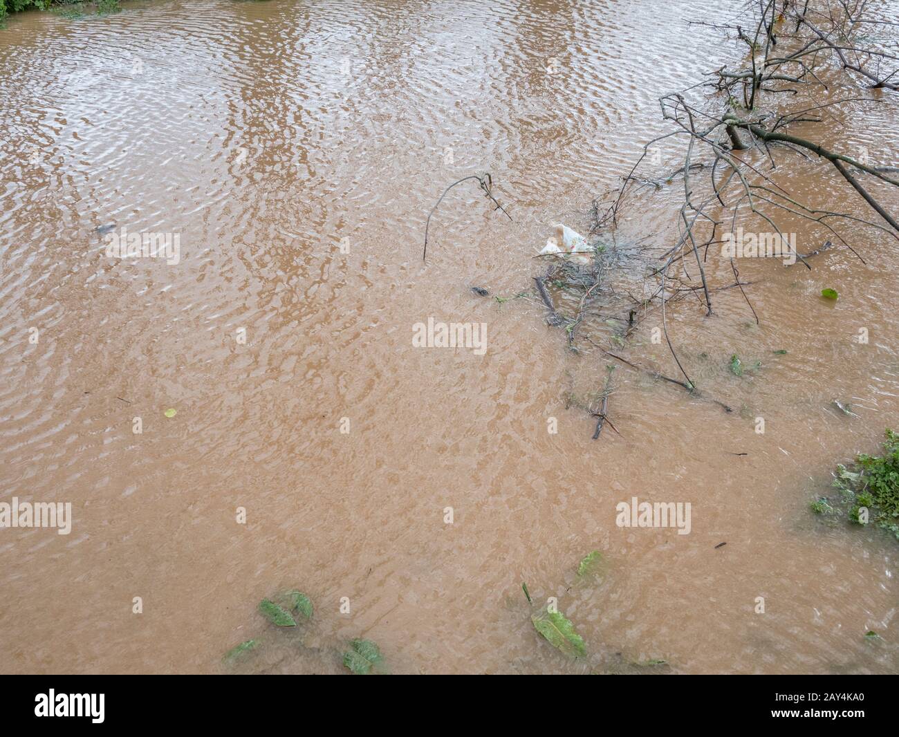 Empty plastic packaging wrapper floating in drainage ditch water after heavy winter rain. For war on plastic, plastic litter, rainy weather, murky. Stock Photo