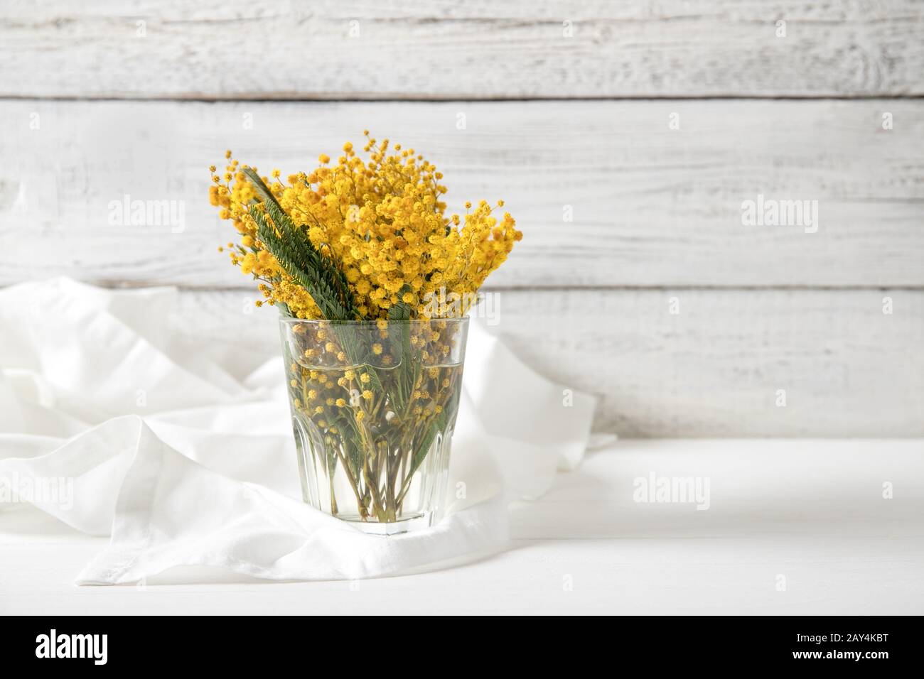 Mimosa in a glass on a white wooden background, place for text, postcard, Stock Photo