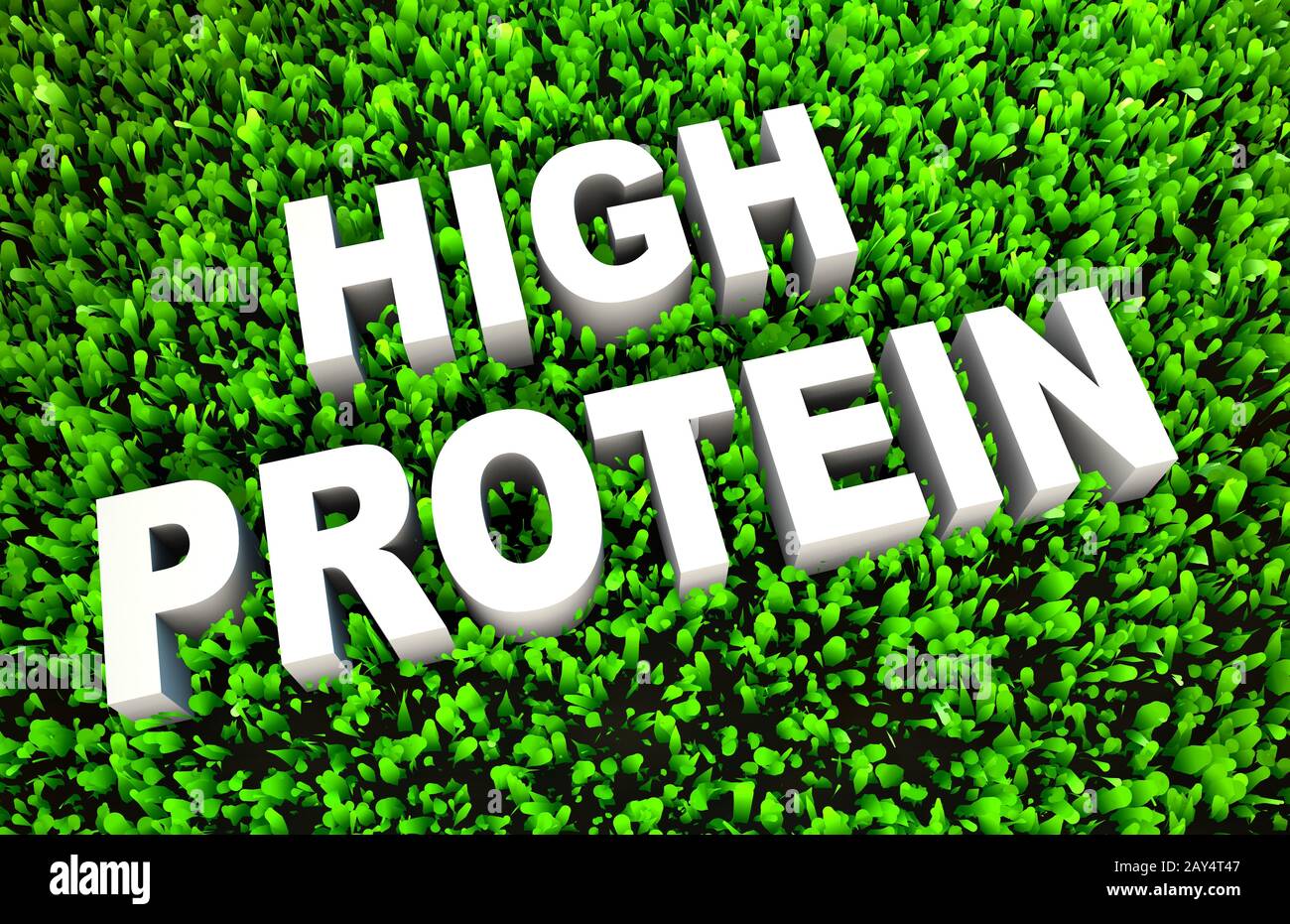 High Protein Diet Stock Photo