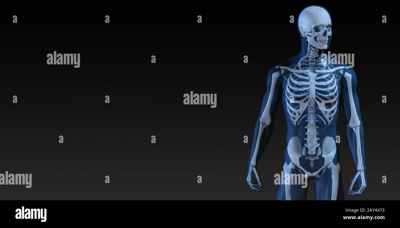 DIAGRAM OF HUMAN BONE STRUCTURE visual data 4