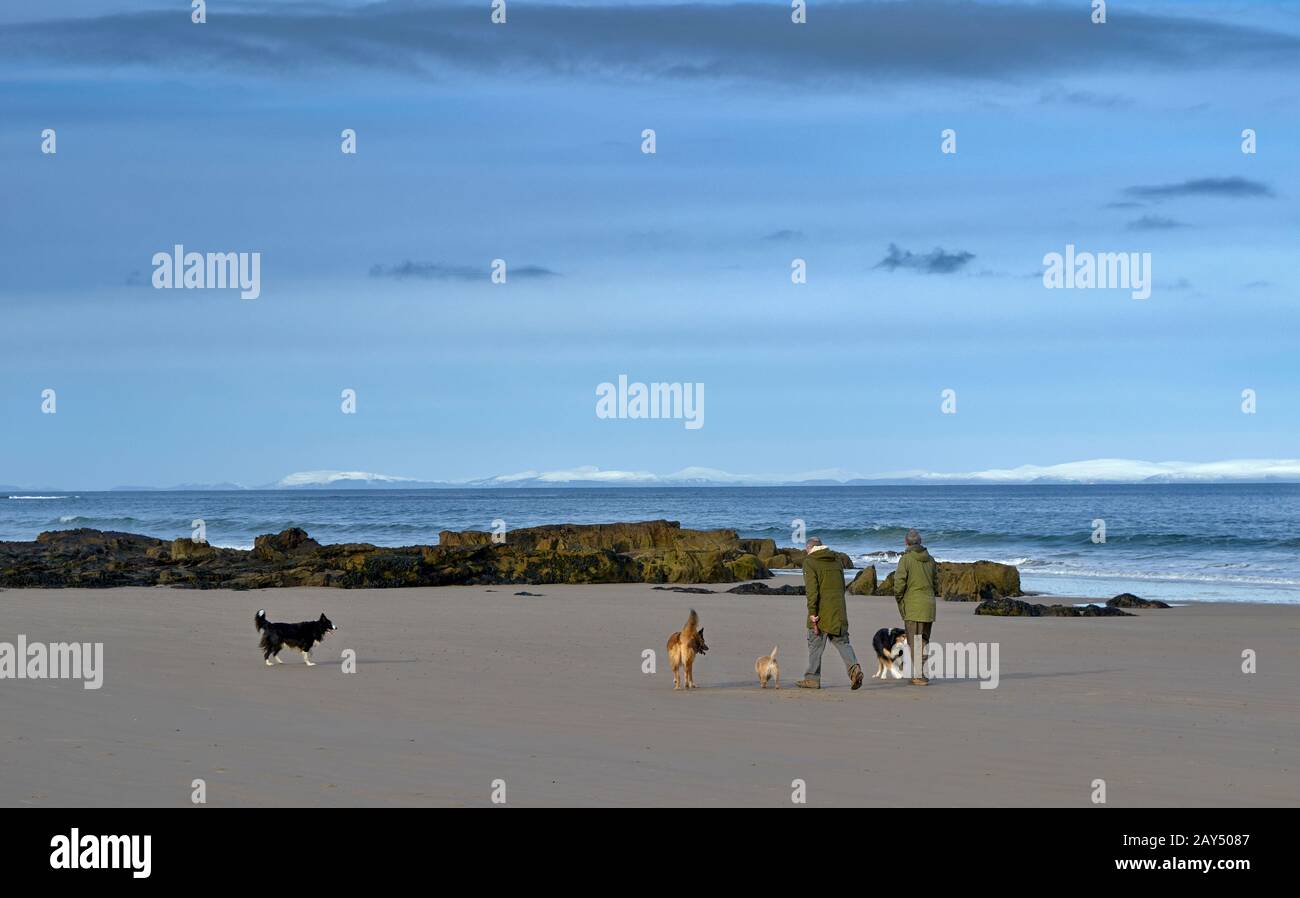 LOSSIEMOUTH MORAY FIRTH SCOTLAND A WINTER WEST BEACH AND WALKERS WITH FOUR DOGS SNOW ON THE SUTHERLAND HILLS Stock Photo