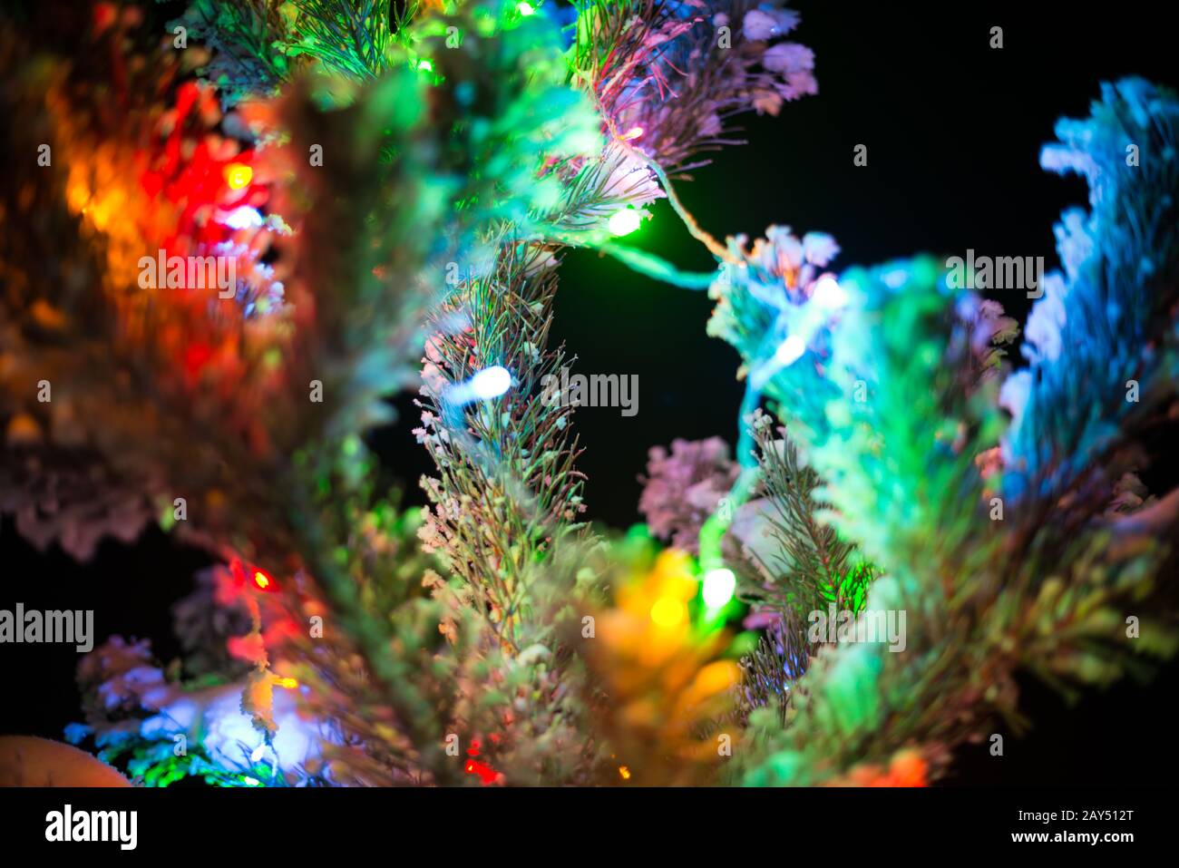 Shining lights of a natural Christmas tree covered snow. Macro Stock Photo