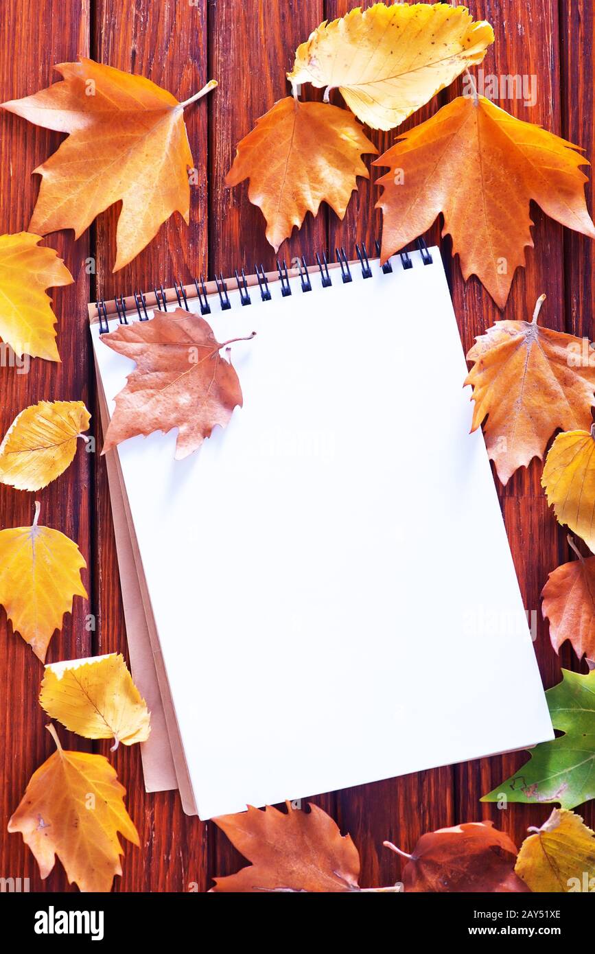 autumn background Stock Photo
