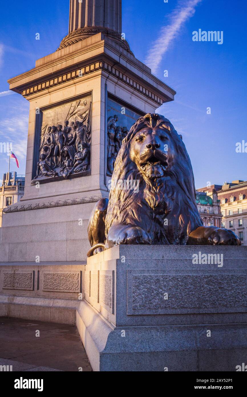 Next to one of the lion statues in trafalgar square hires stock