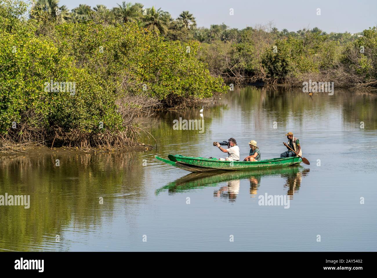 Touristen mit Kanu auf dem Kotu Fluss beim Vögel beobachten und fotografieren, Kotu, Kanifing, Serekunda, Gambia, Westafrika  | tourists with canoe on Stock Photo