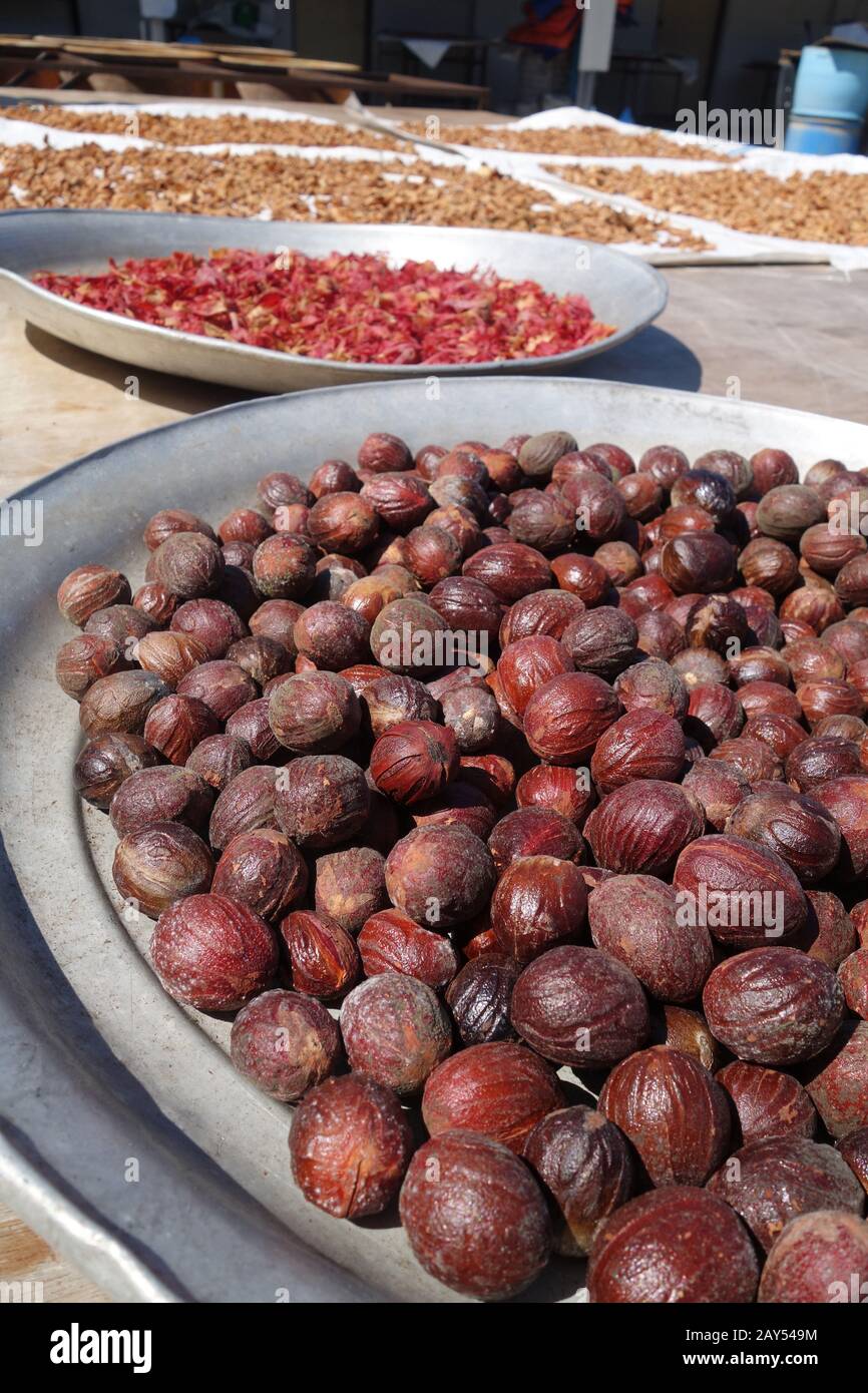 Dried nutmeg seeds Stock Photo - Alamy
