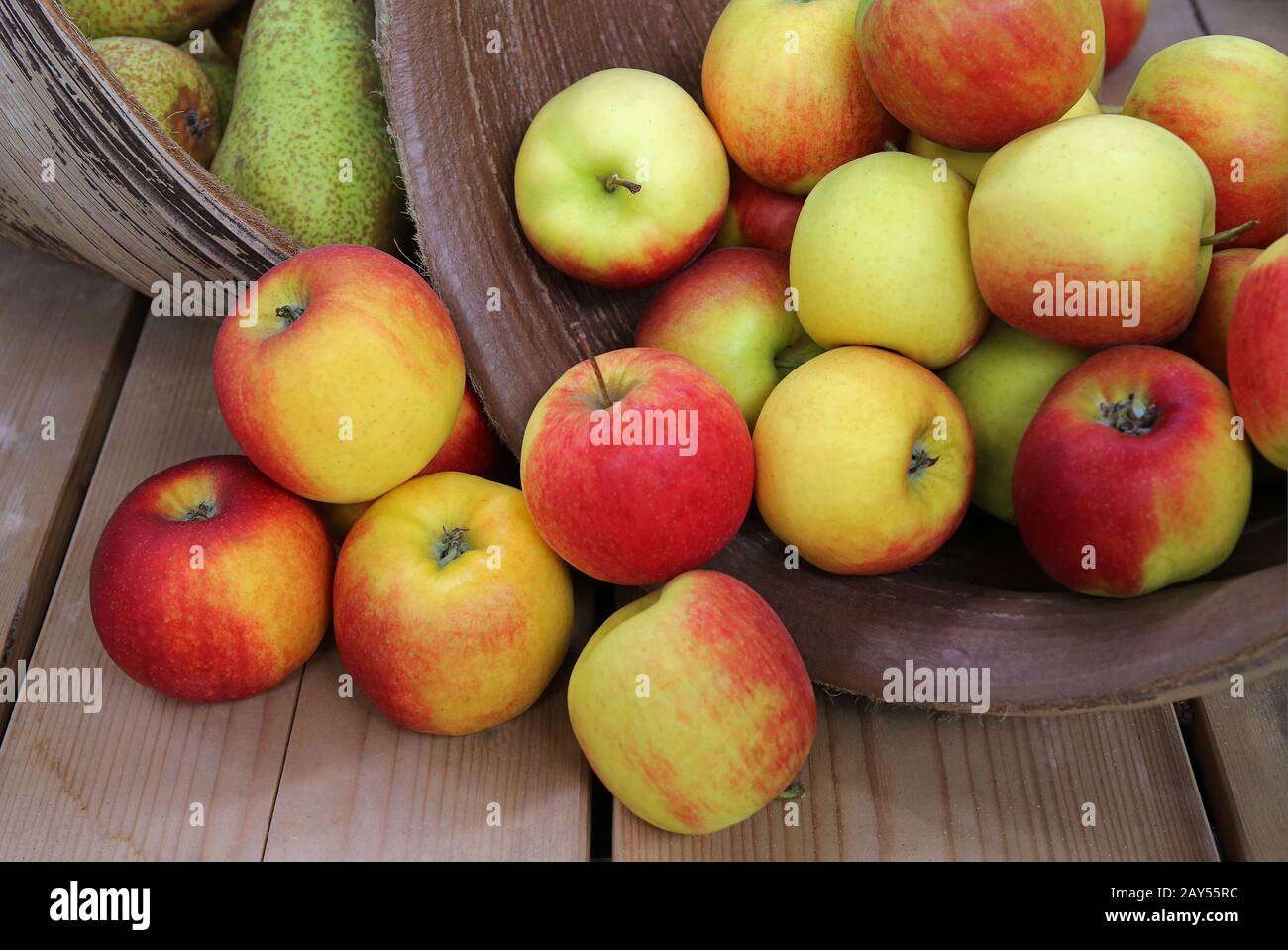Still life with apples Stock Photo
