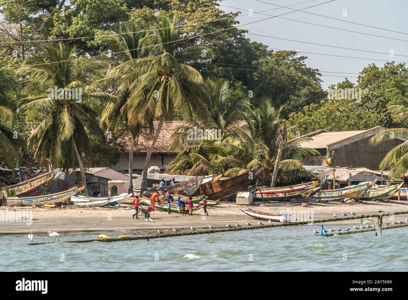 Kokospalmen und Fischerboote am Strand der Hauptstadt Banjul, Gambia, Westafrika  | coconut trees and fishing boats at Banjul beach,  Gambia, West Afr Stock Photo