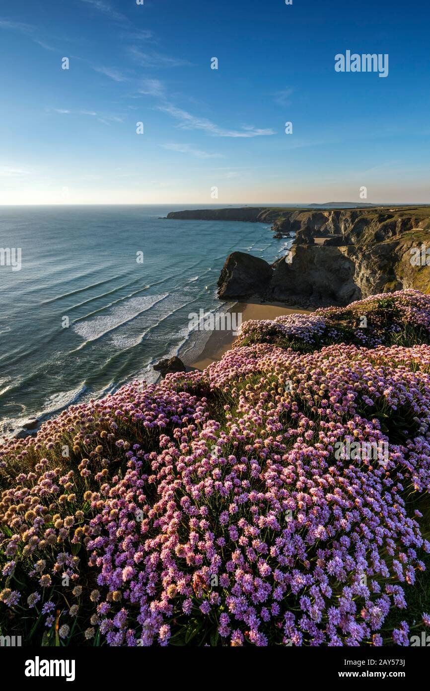 Bedruthan Steps; Cornwall; UK Stock Photo