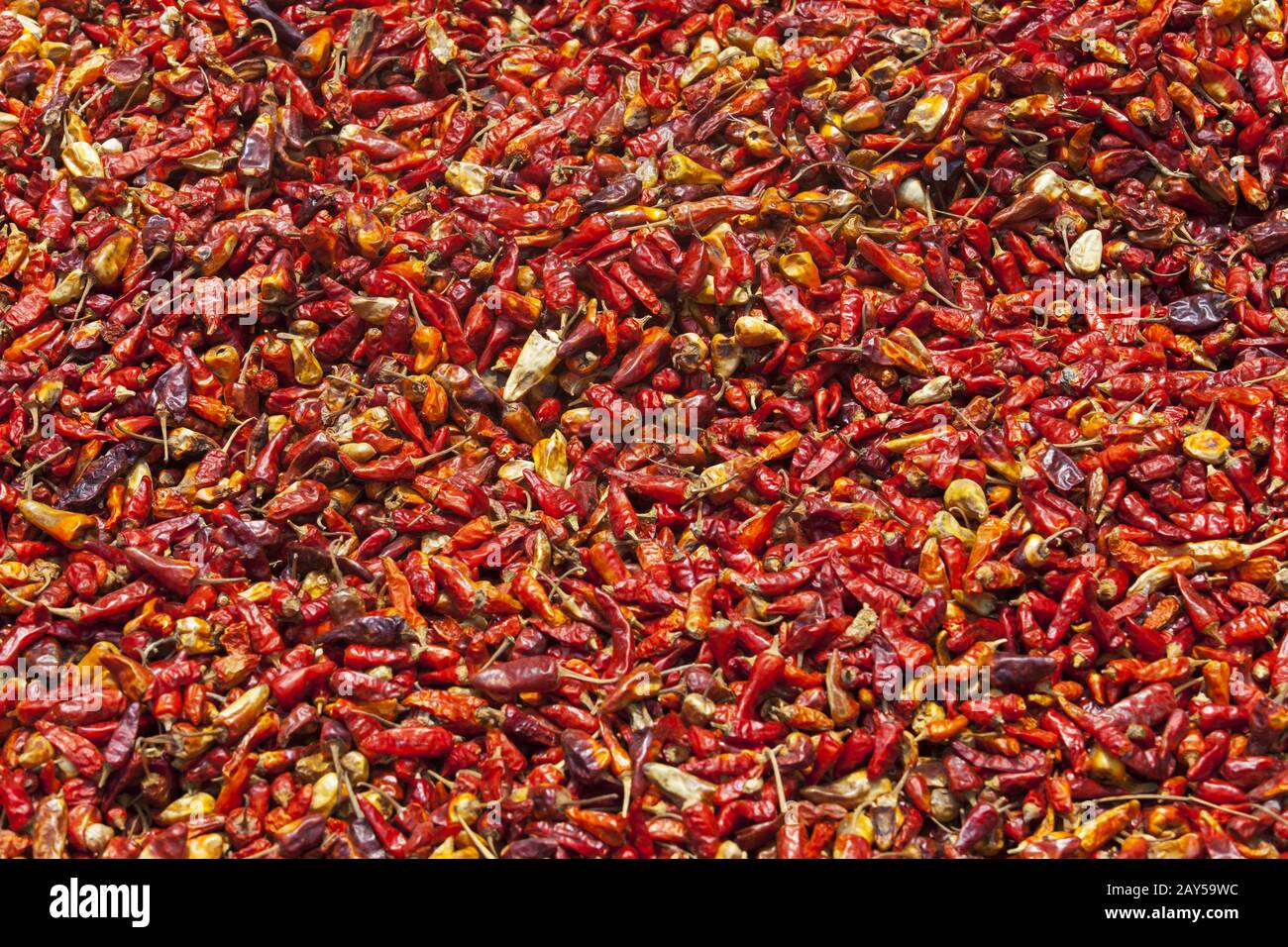 Indian dried red chillies hi-res stock photography and images - Alamy