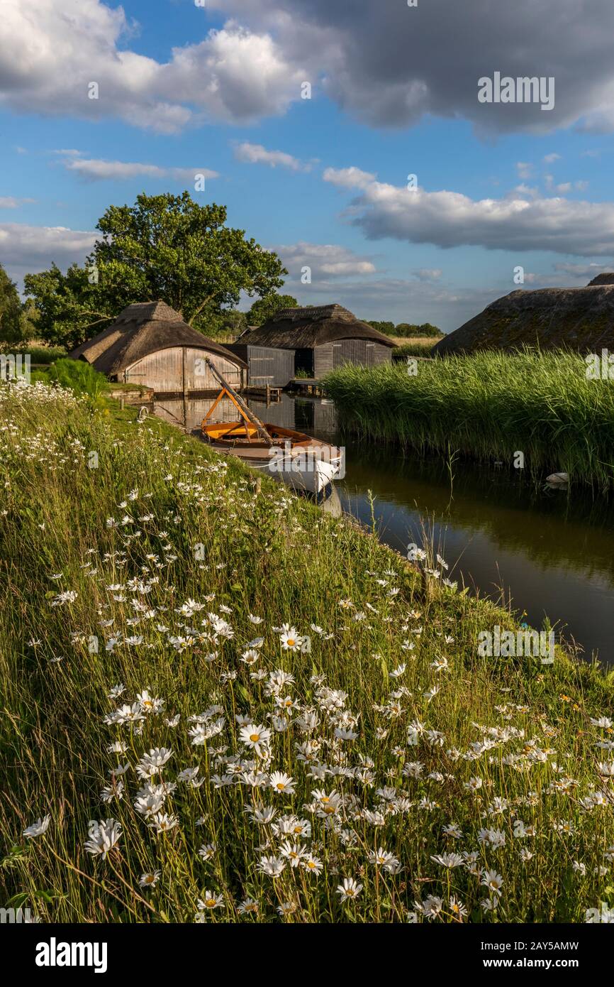 Hickling Boat Houses; Norfolk; Broads; UK Stock Photo Alamy