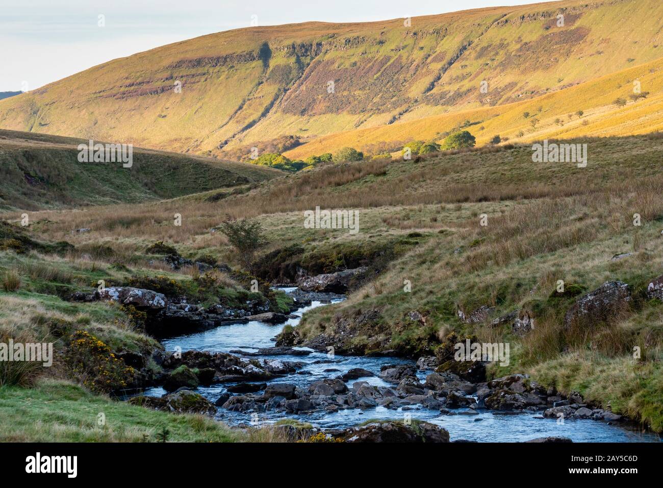 River Tawe nr Glyntawe Pen-y-cae Brecon Beacons National Park Powys Wales Stock Photo