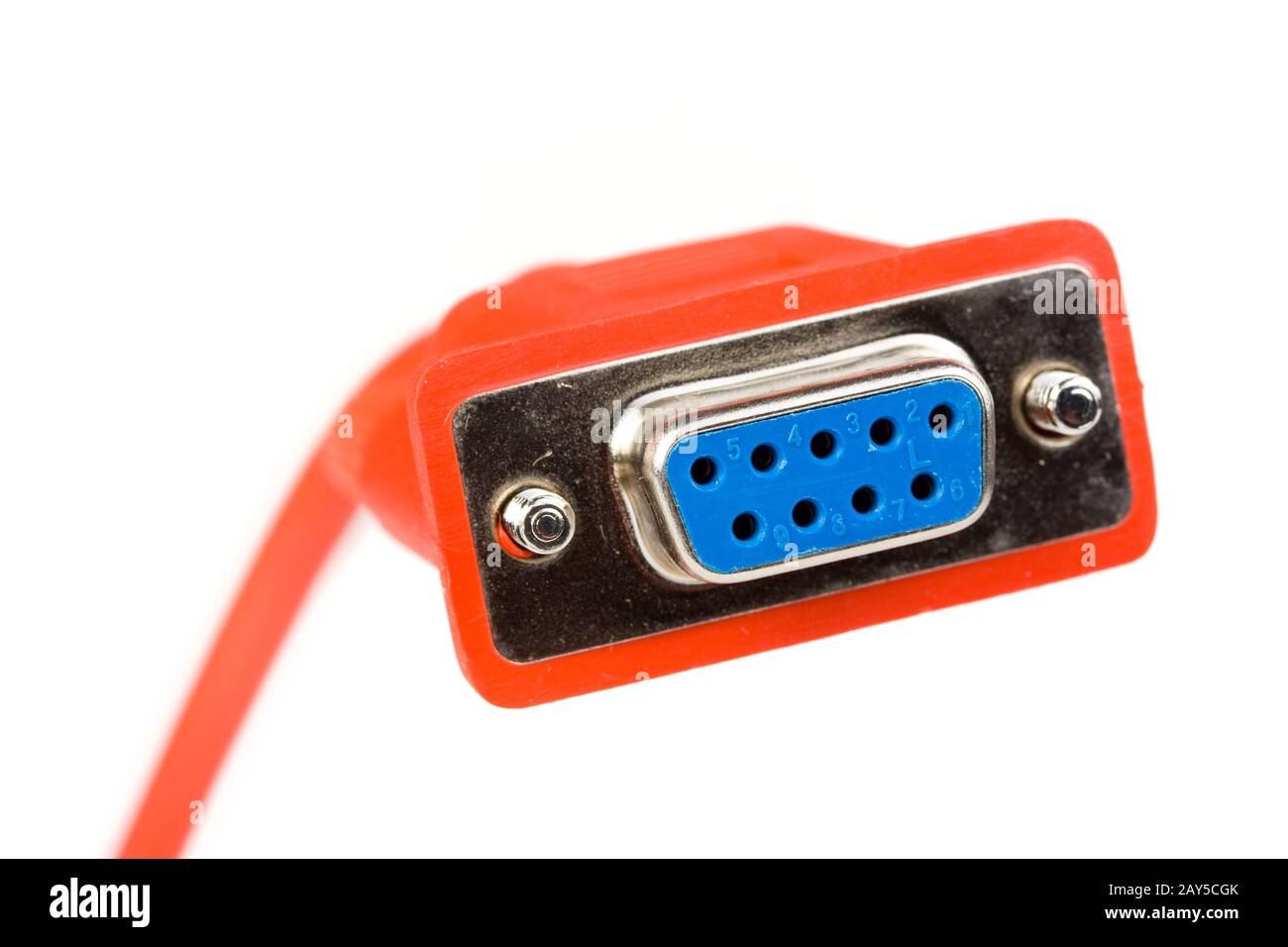 Computer plug isolated on white background Stock Photo Alamy