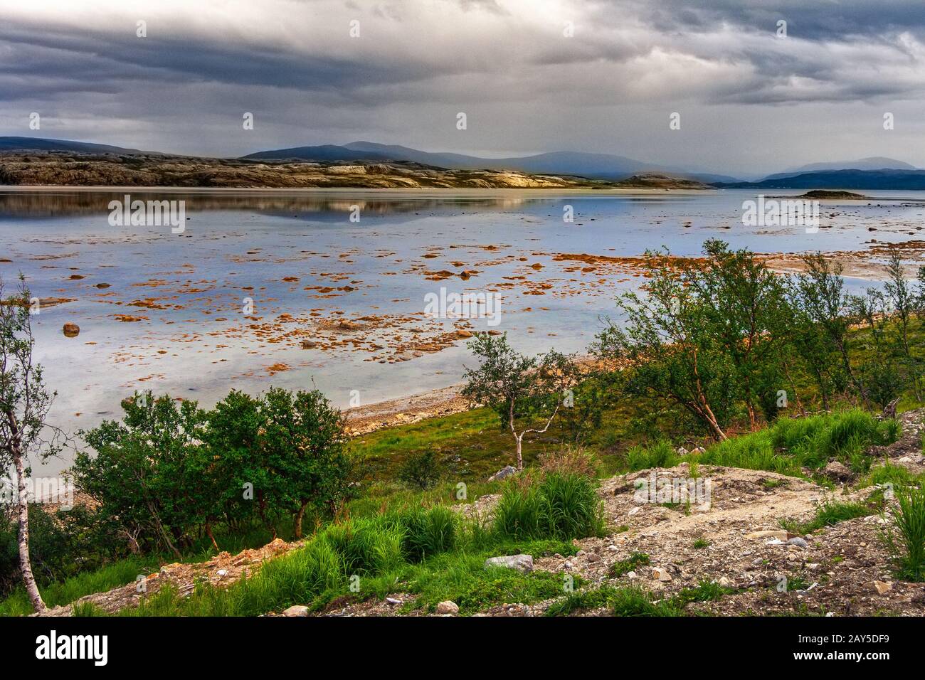 coastline of the beautiful Porsangerfjord at low tide , Barents Sea. Norway Stock Photo