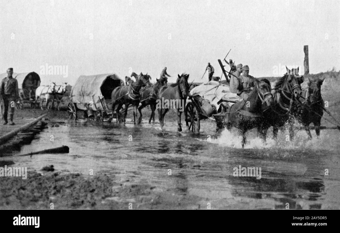 A vintage magazine photo of an Austrian army baggage or supply wagons on the retreat through the Pripet marshes in the Autumn of 1914 after the disasterous invasion of Russian Poland during World War One Stock Photo